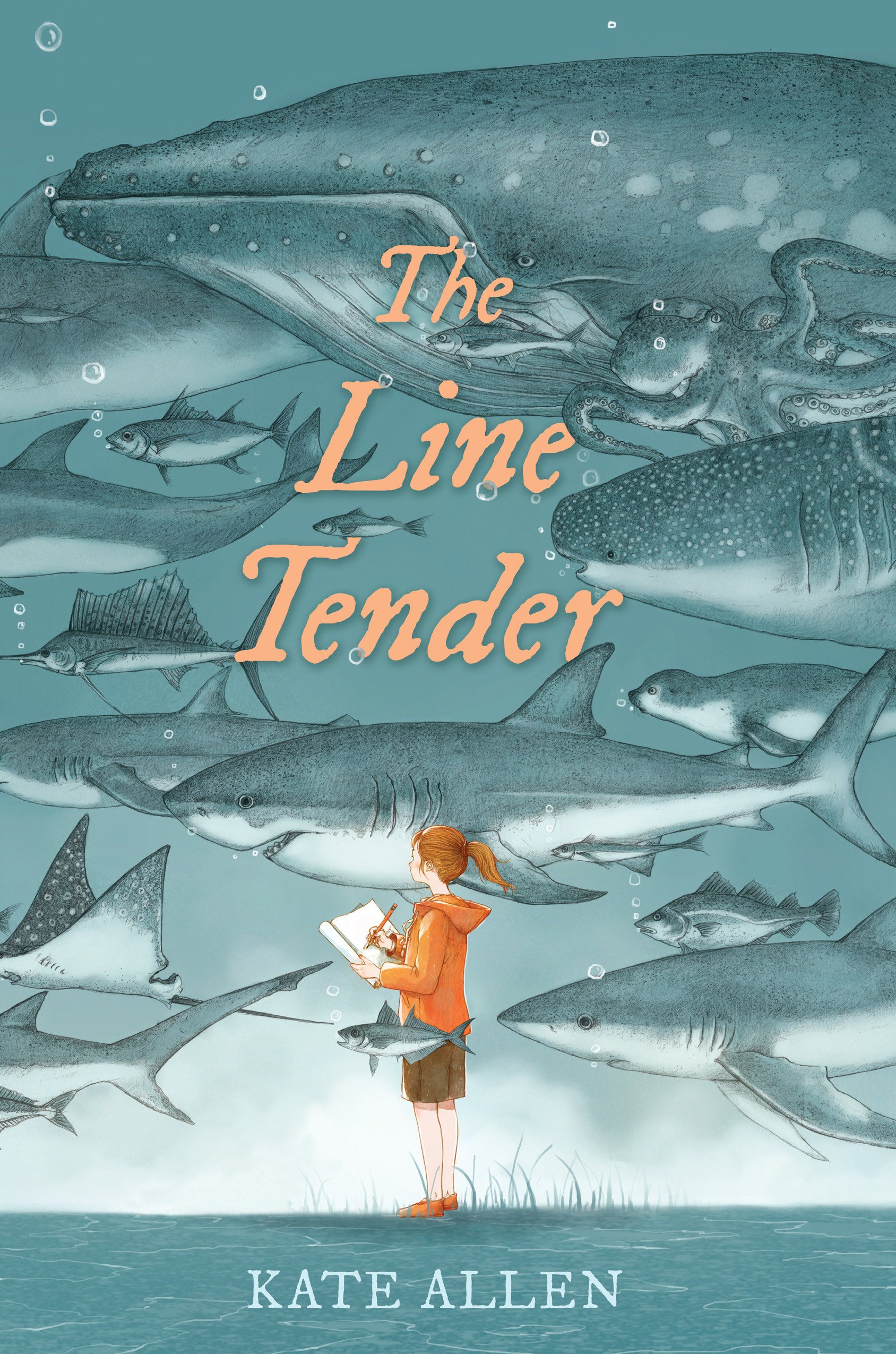 linetender